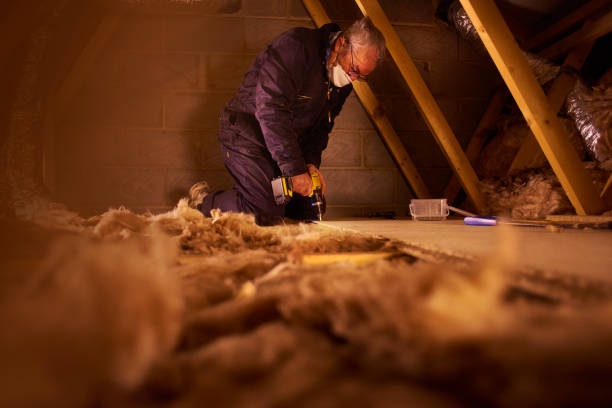 Best Geographic-Specific Insulation Services in Seal Beach, CA
